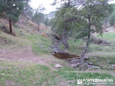 El Castañar de El Tiemblo, senderismo y montaña; puerto de navacerrada bola del mundo